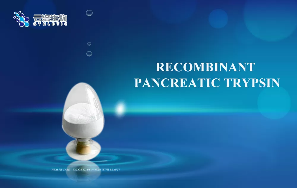 Која је улога ензима?