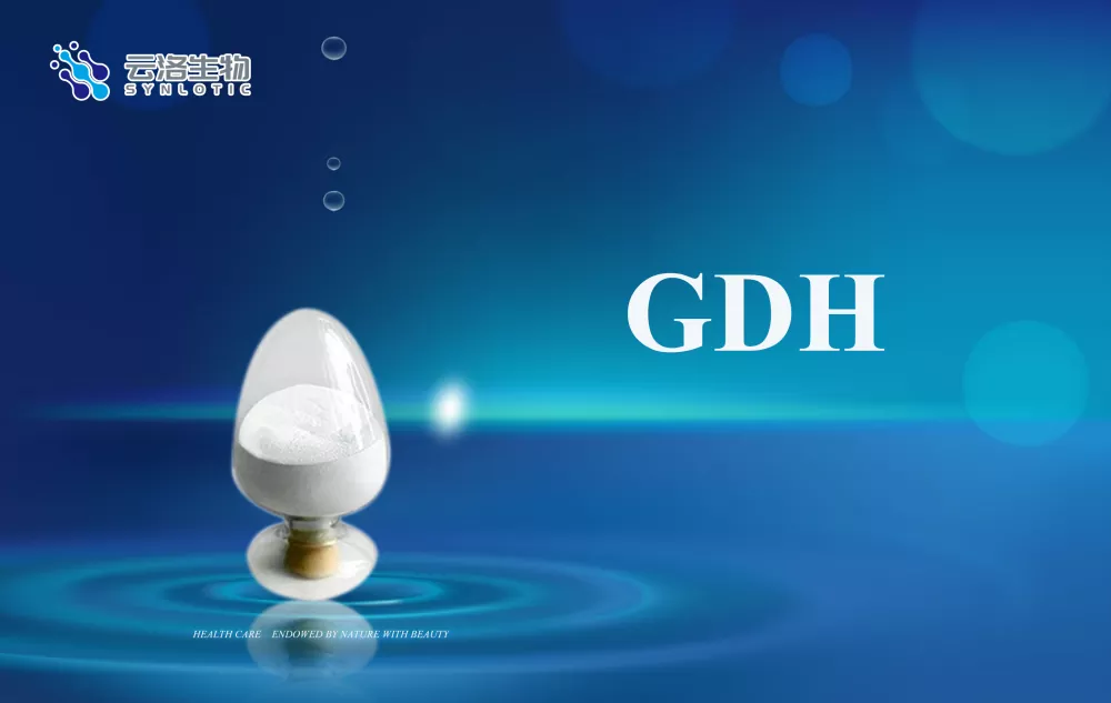 Који су основни концепти ензима?