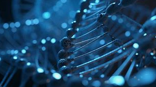 Ерготионеин: „Злато антиоксиданса“ у индустрији здравља хране